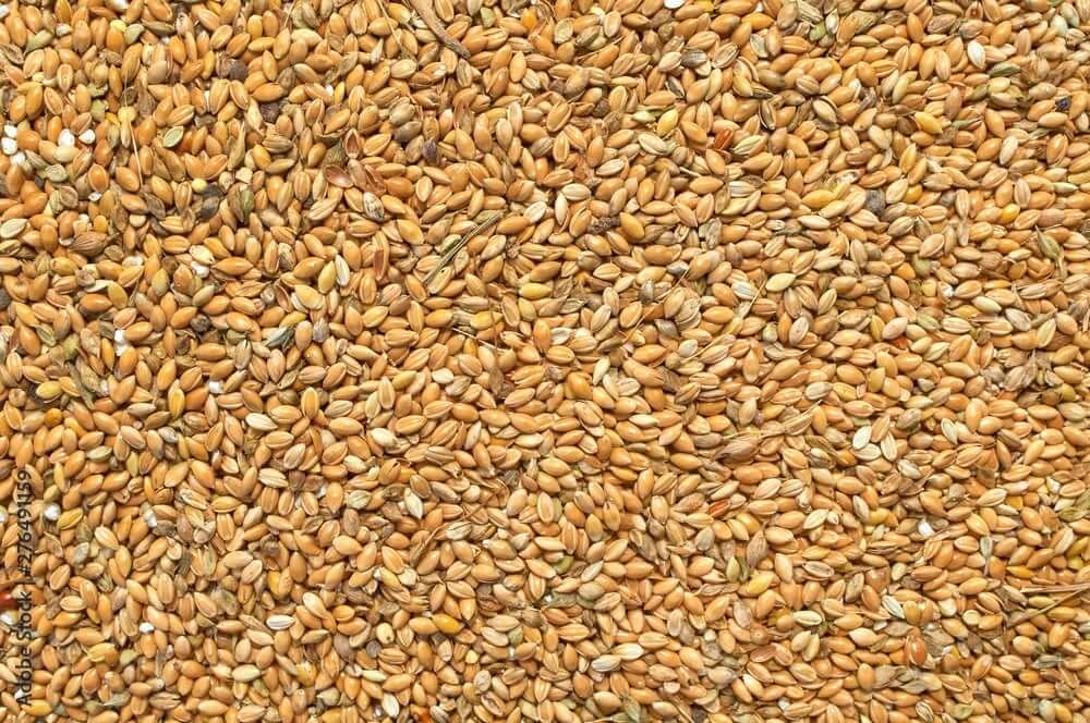 adobestock_276491159_preview2