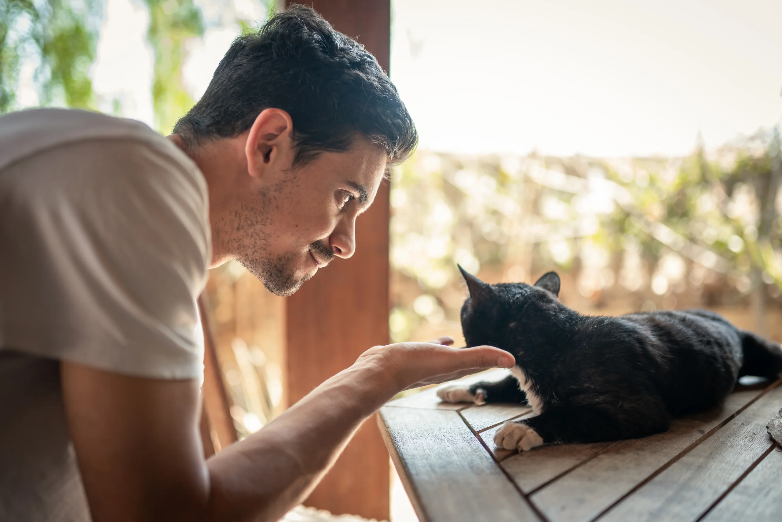 adobestock_507509567