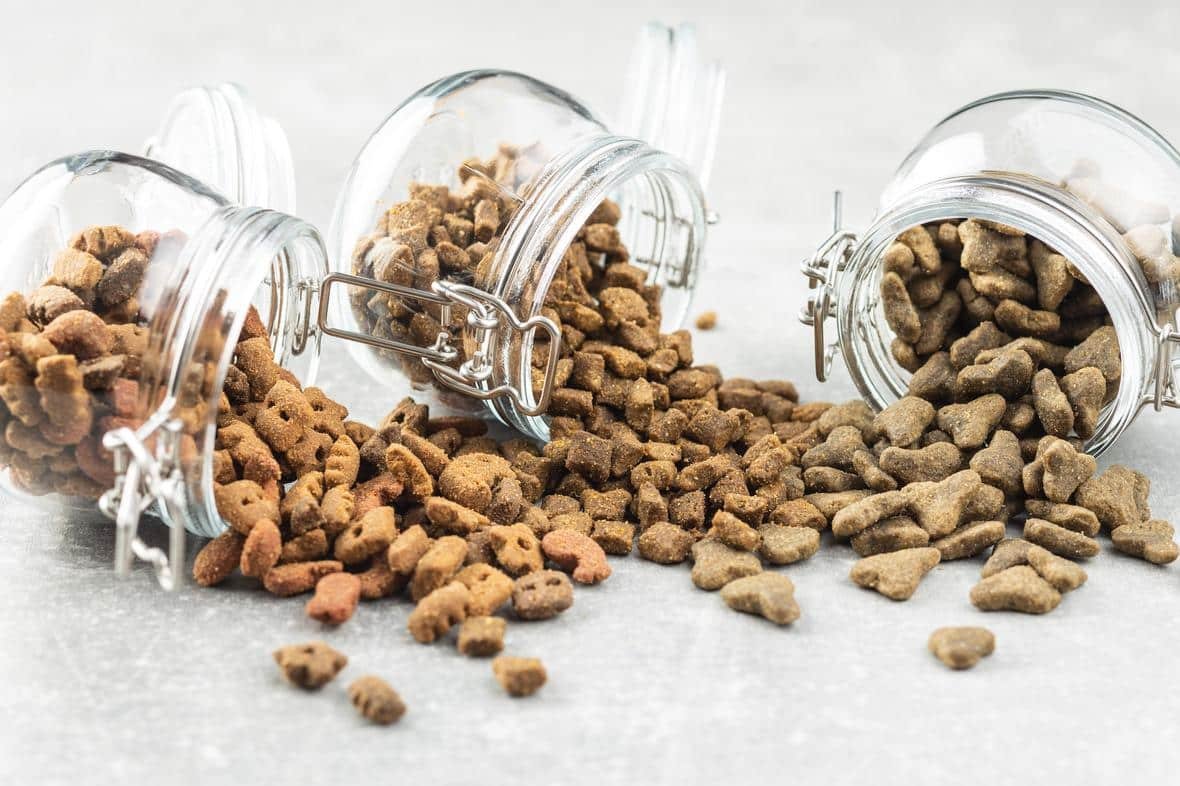 petfood-adobestock_293441679-min