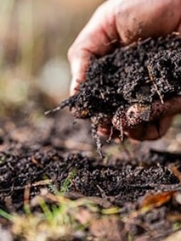 adobestock_618414817